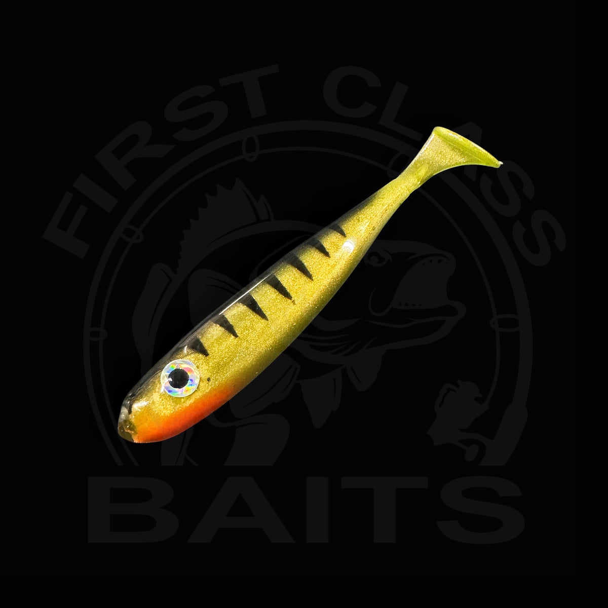 Classy Shiner - Perch UV