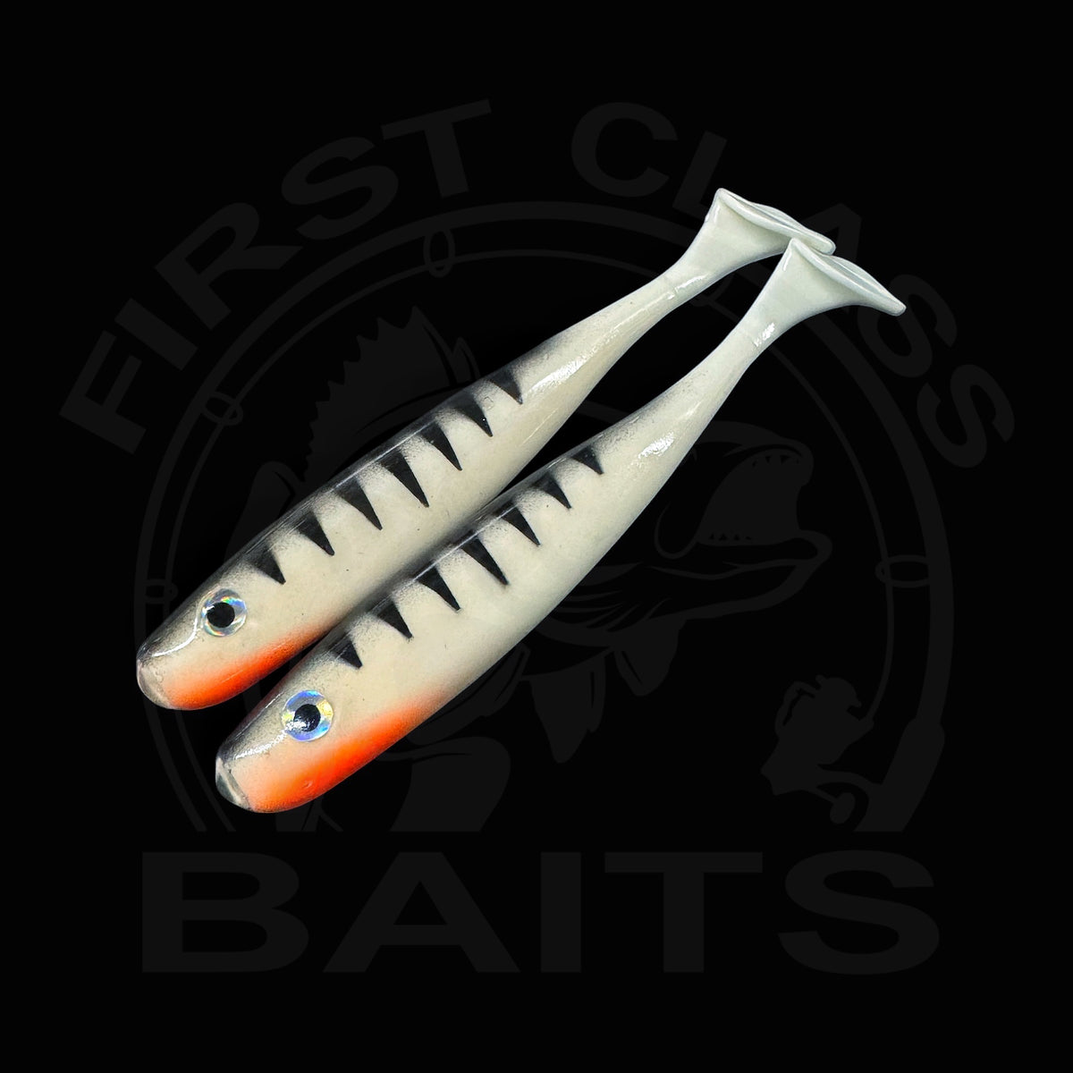 Classy Shiner - White Perch UV