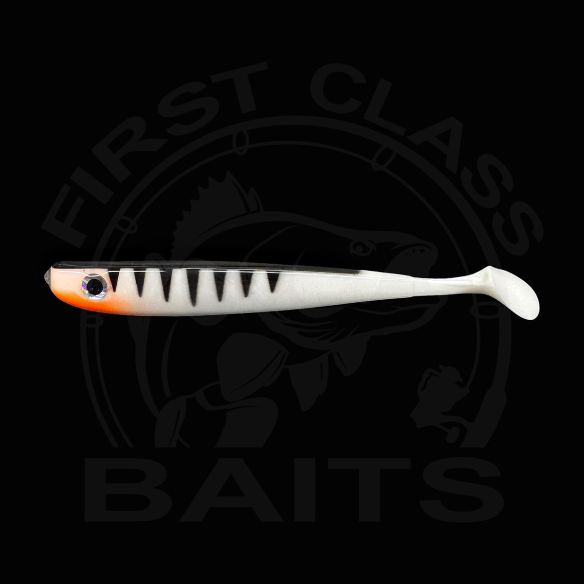 Classy Slim Shad - White Perch UV