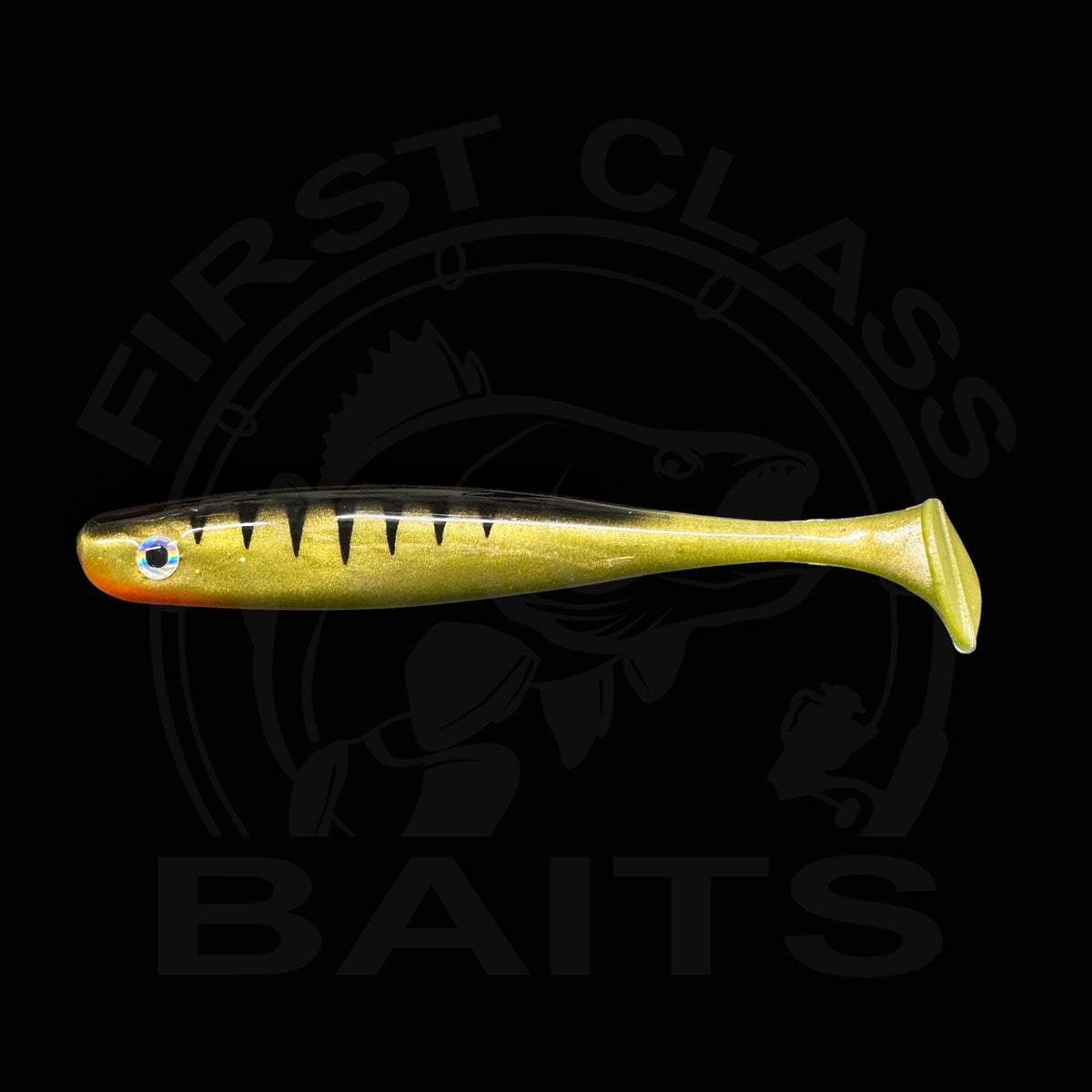 Classy Shiner - Perch UV