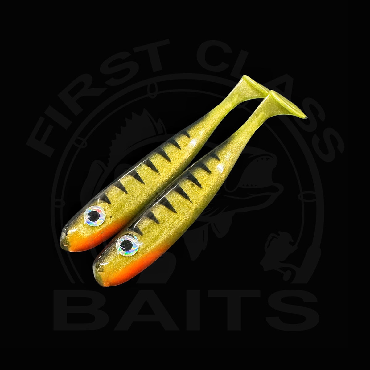 Classy Shiner - Perch UV