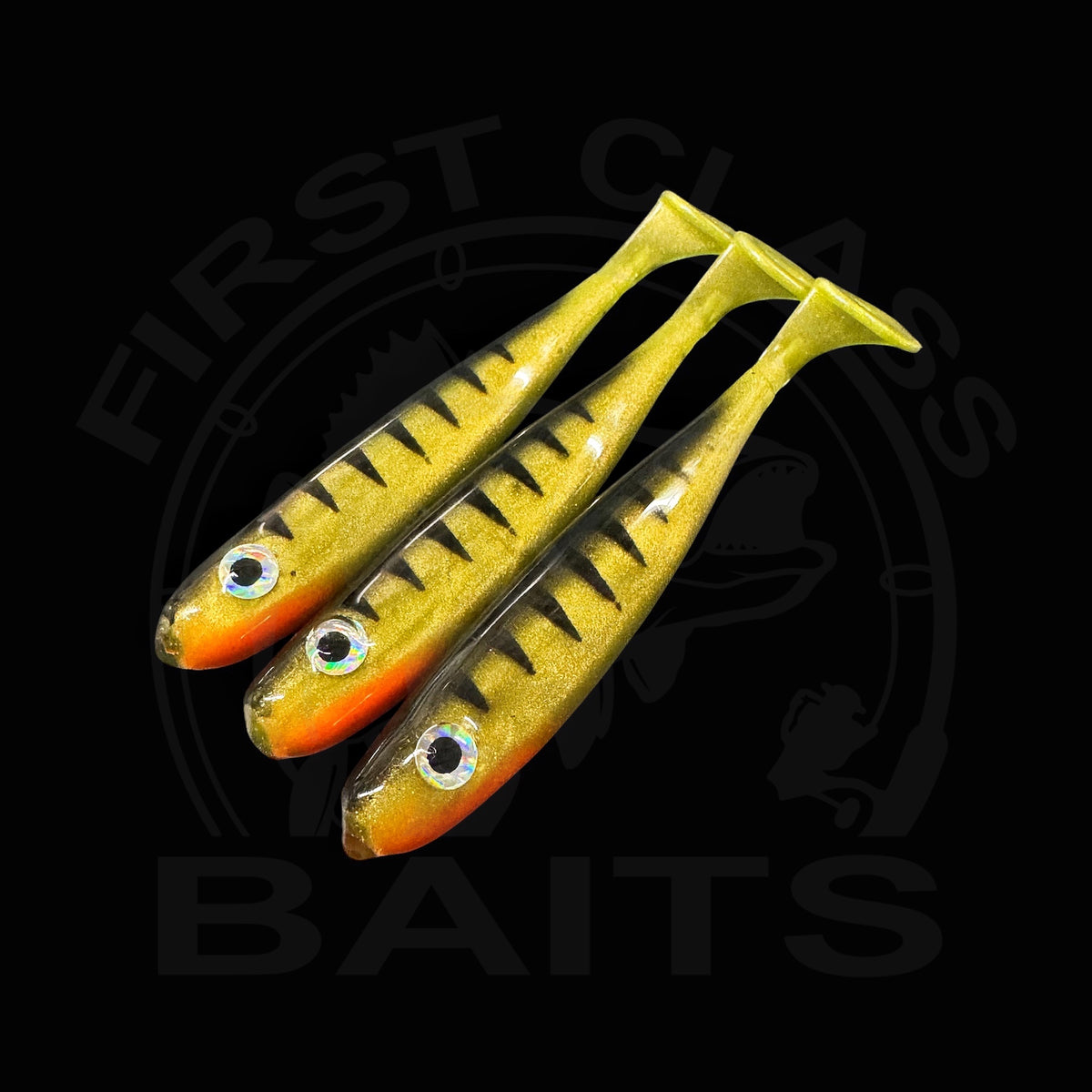 Classy Shiner - Perch UV