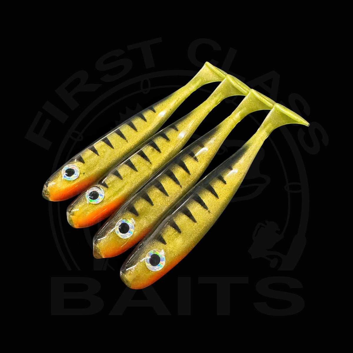 Classy Shiner - Perch UV