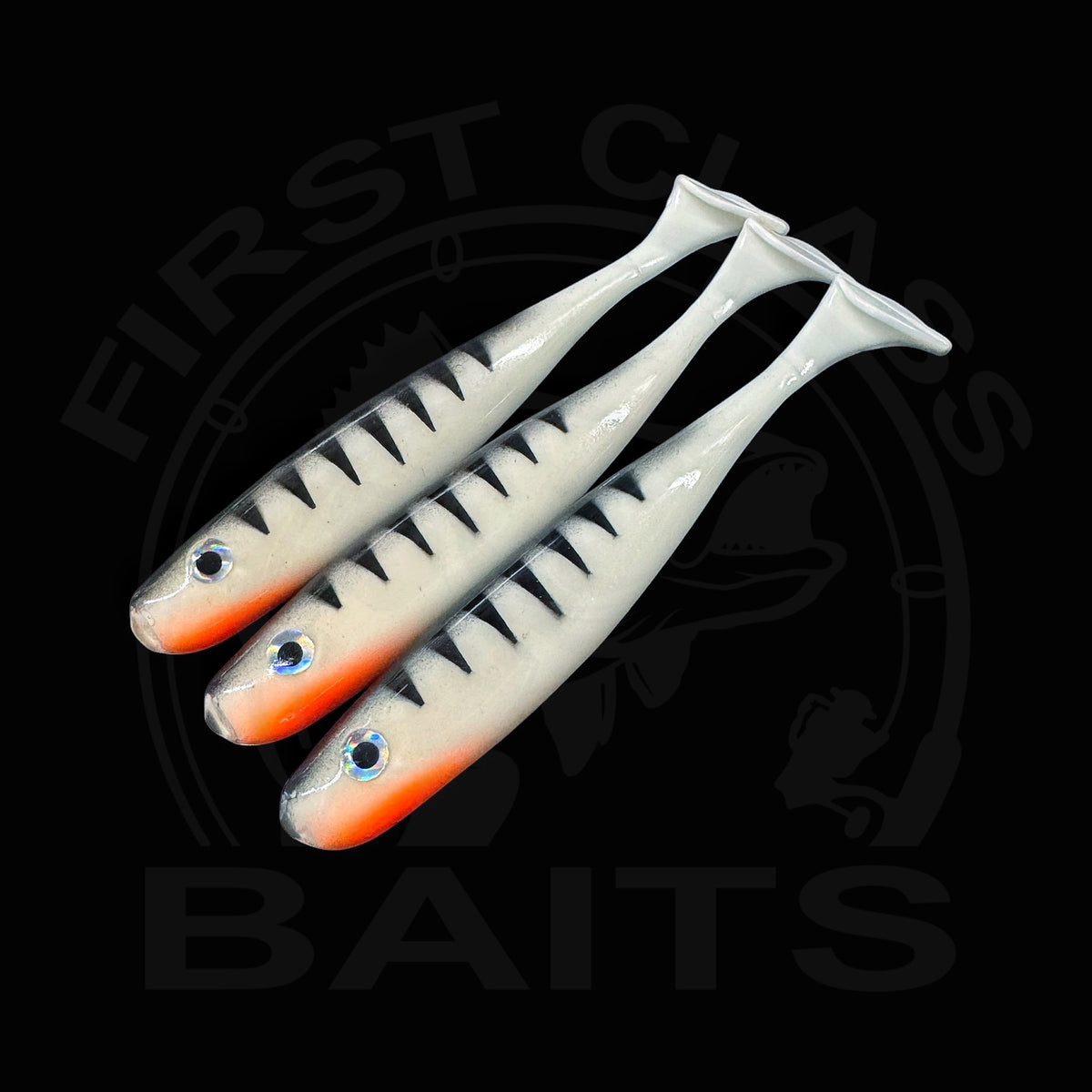 Classy Shiner - White Perch UV
