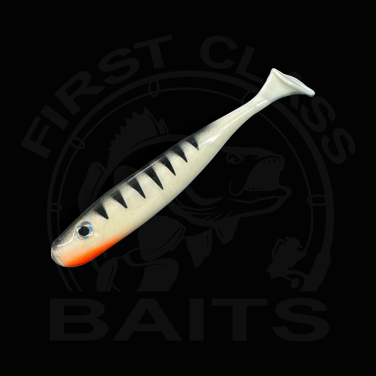 Classy Shiner - White Perch UV