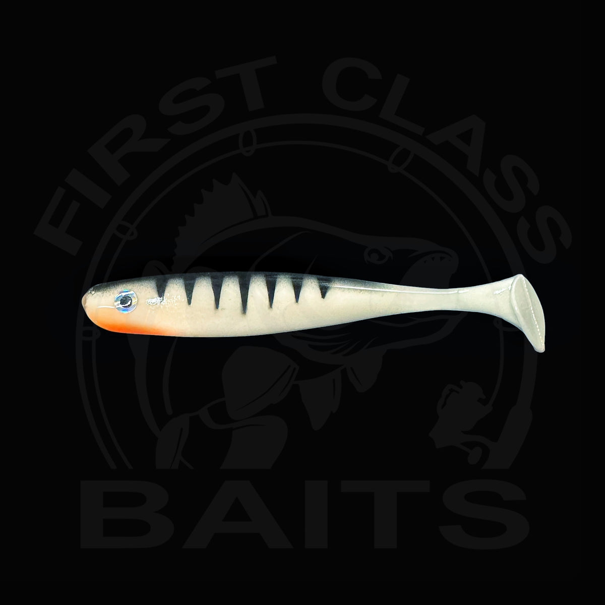 Classy Shiner - White Perch UV