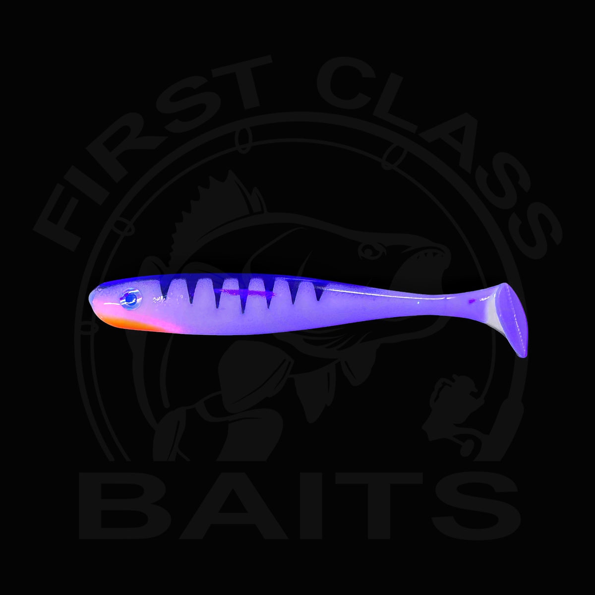 Classy Shiner - White Perch UV