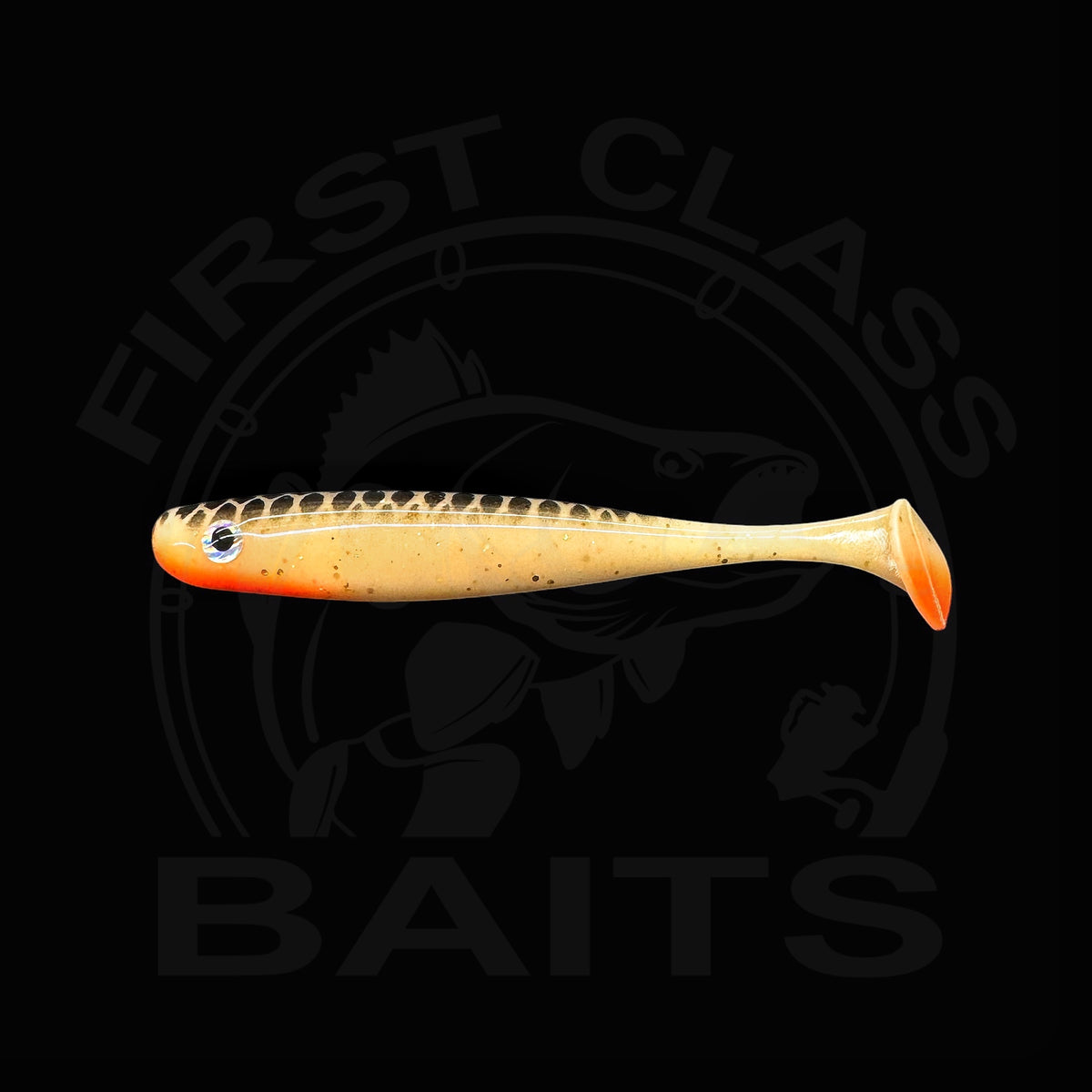 Classy Shiner - Autumn Zander UV