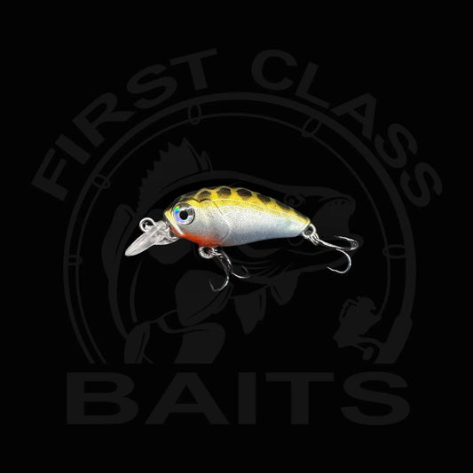 Classy Crank 35F
